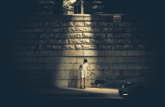 seattle dog walking night