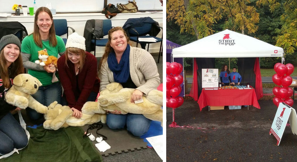 Team of pet care professionals train on pet CPR and pet first aid. Strut the Pup tent for Seattle Humane Society