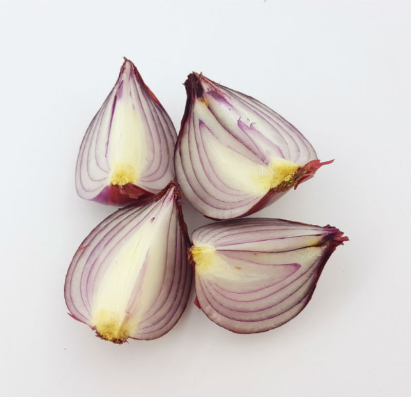 A red onion, which are toxic to dogs