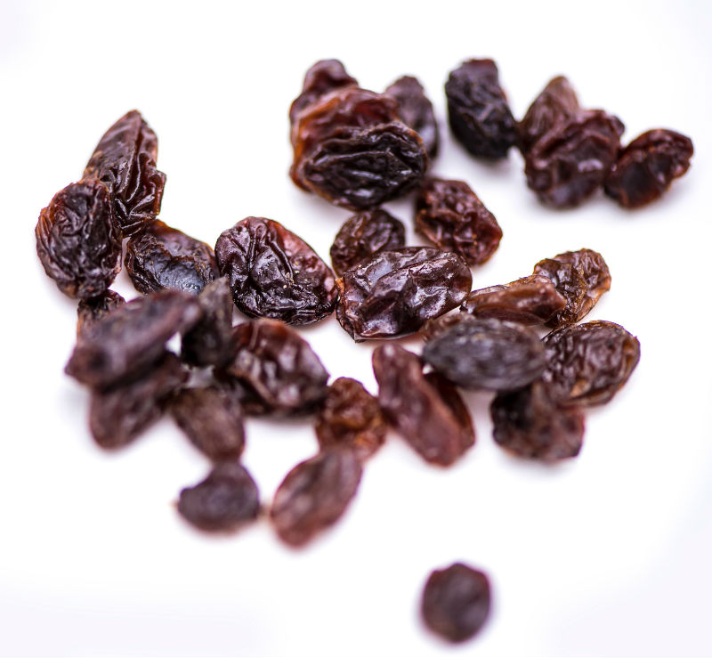 Raisins, which dogs should not eat