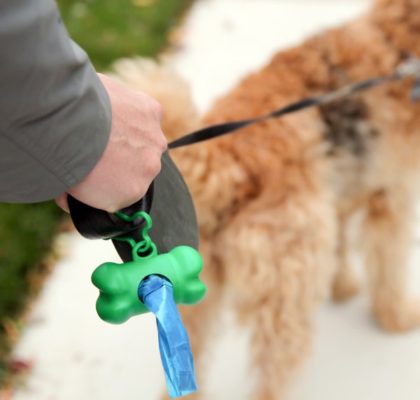 Doggie bag holder on leash